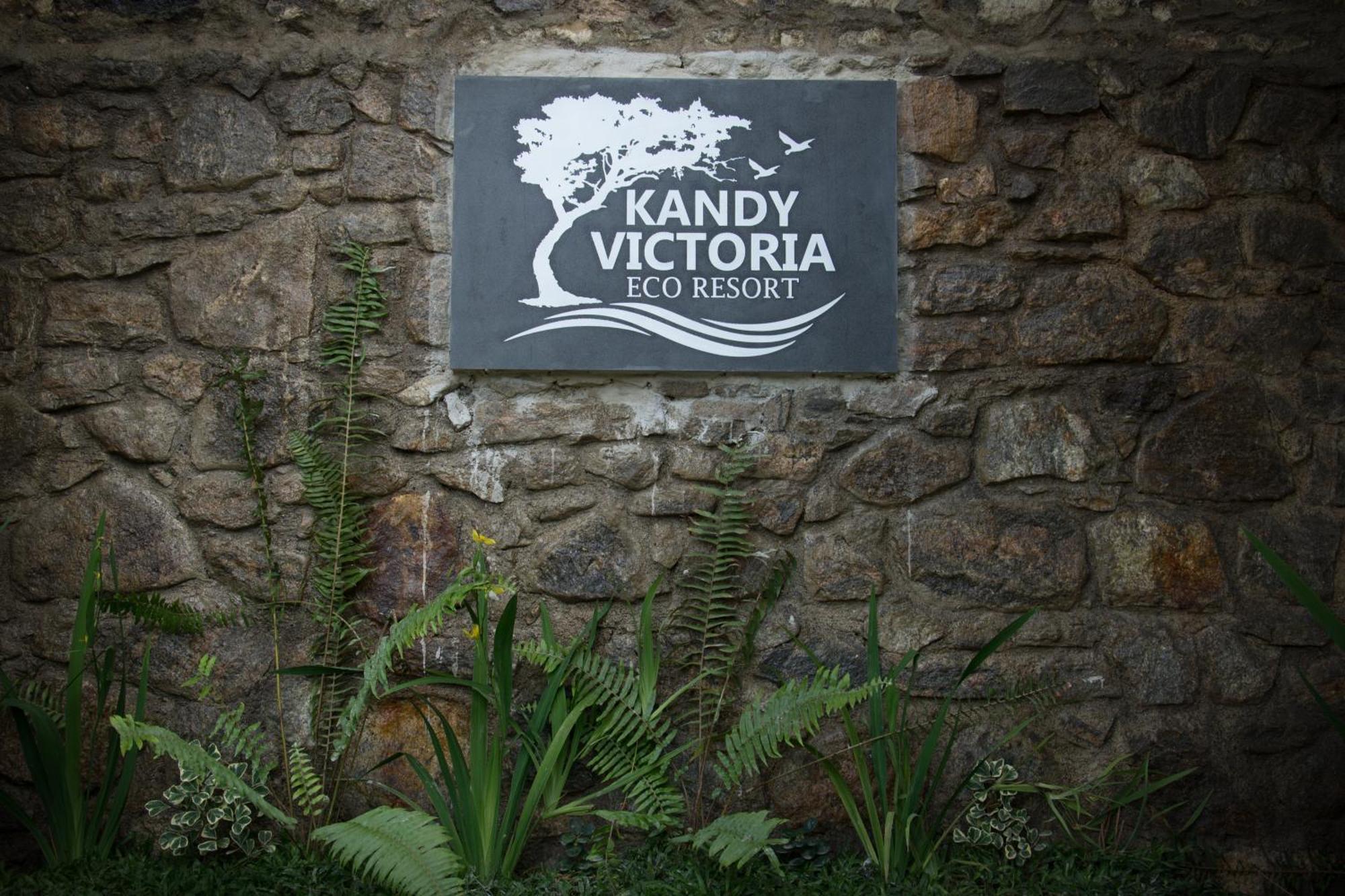 Kandy Victoria Eco Resort Exteriér fotografie