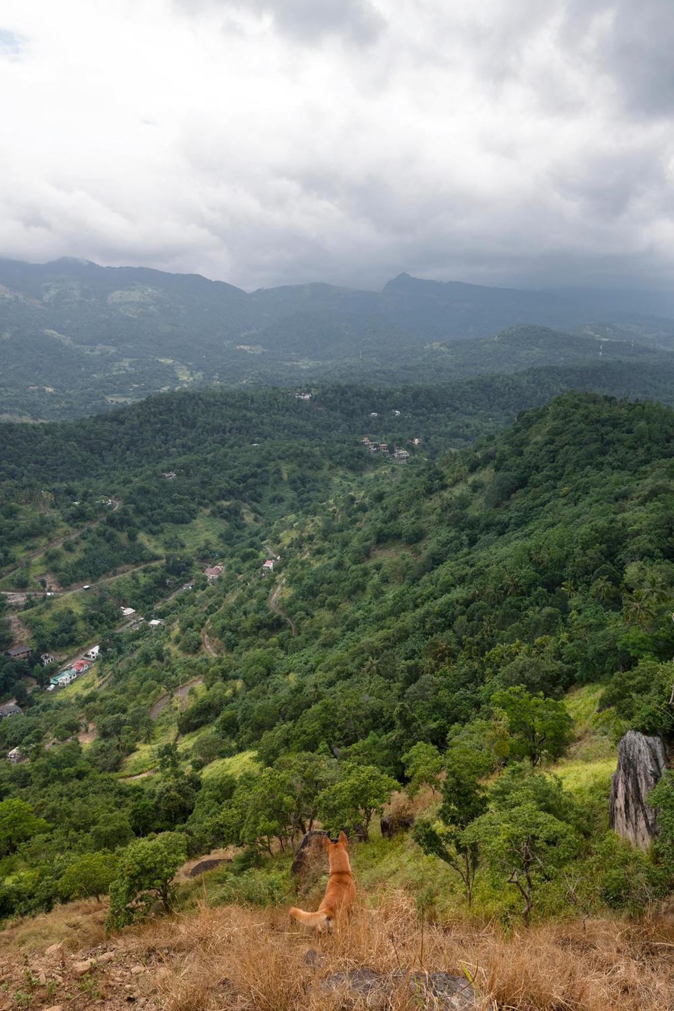 Kandy Victoria Eco Resort Exteriér fotografie