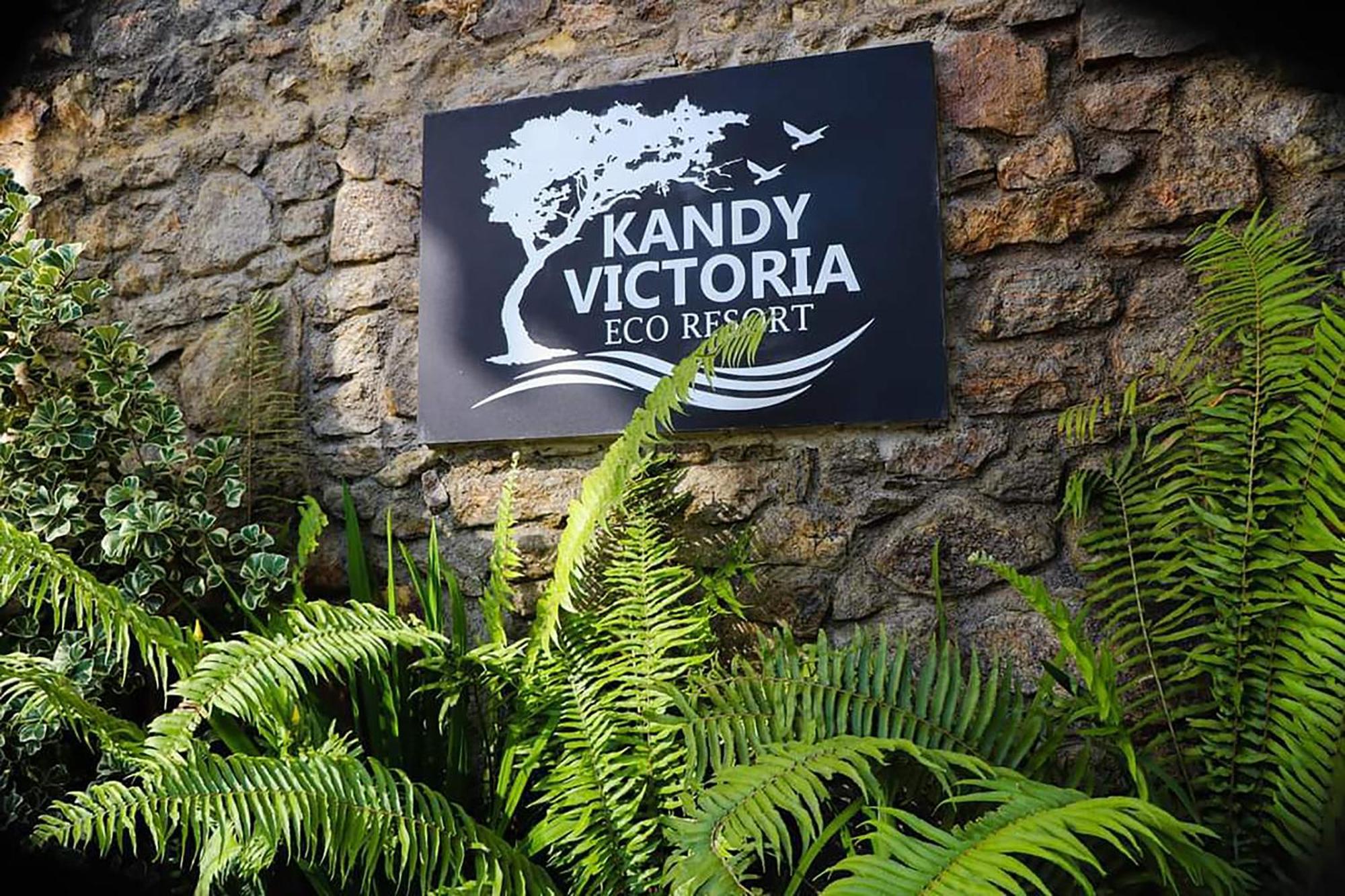 Kandy Victoria Eco Resort Exteriér fotografie